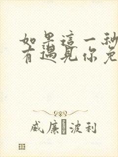 如果这一秒我没有遇见你免费阅读
