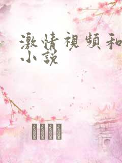 激情视频和激情小说