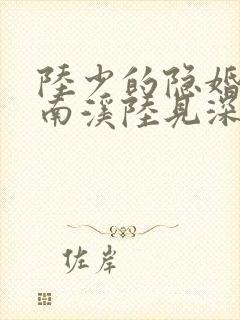 陆少的隐婚罪妻南溪陆见深