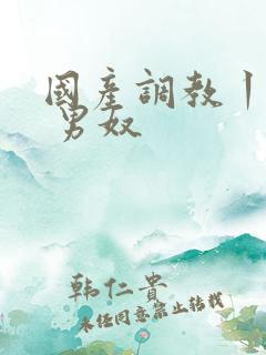 国产调教丨vk 男奴