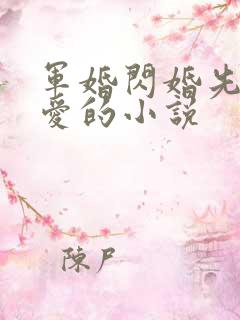 军婚闪婚先婚后爱的小说