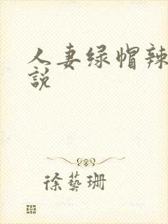 人妻绿帽辣文小说