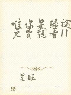 唯你是归途短剧免费观看11