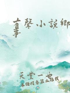有声小说乡村野事