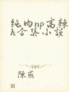 纯肉np高辣文h合集小说
