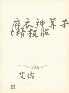 麻衣神算子txt精校版