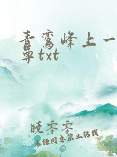 青鸾峰上一剑独尊txt