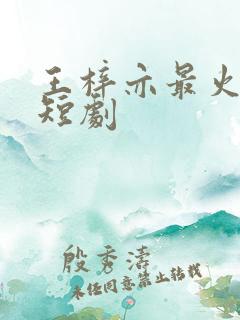 王梓亦最火十部短剧