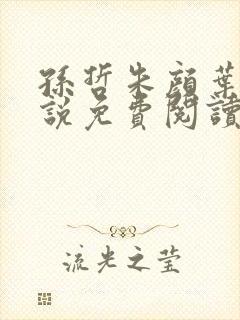 孙哲朱颜叶巧小说免费阅读