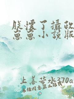 朕怀了摄政王的崽崽小说版