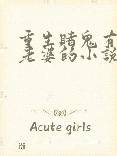 重生赌鬼有孩子老婆的小说