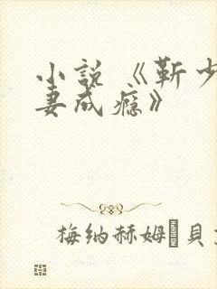 小说 《靳少宠妻成瘾》