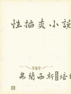 性插爽小说