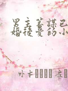 男主蓄谋已久先婚后爱的小甜文