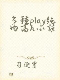 多种play纯肉高h小说