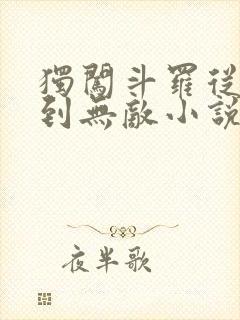 独闯斗罗从穿越到无敌小说免费阅读