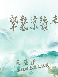 调教清纯老婆五年感小说