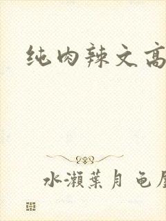 纯肉辣文高h