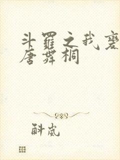 斗罗之我变成了唐舞桐