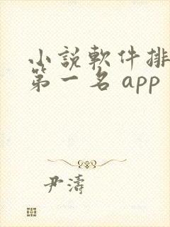 小说软件排行榜第一名 app