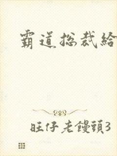 霸道总裁给点爱