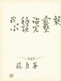 我的治愈系游戏小说完整