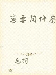 葱要用什么肥料