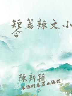 短篇辣文小说集合