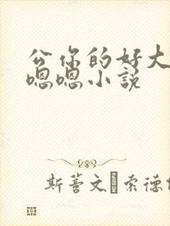公你的好大好爽嗯嗯小说