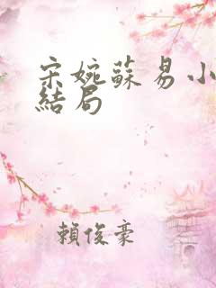 宋婉苏易小说大结局