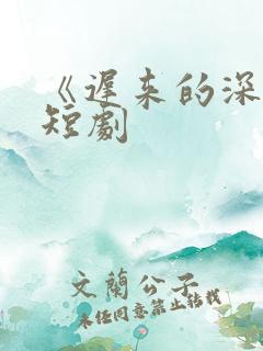 《迟来的深情》短剧