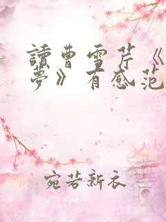 读曹雪芹《红楼梦》有感范文