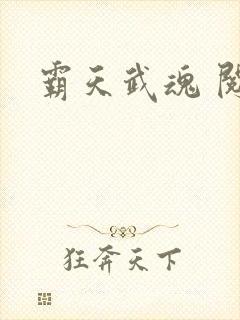 霸天武魂 阅读