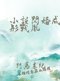 小说闪婚成宠海彤战胤