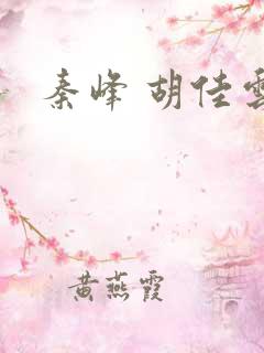 秦峰 胡佳云