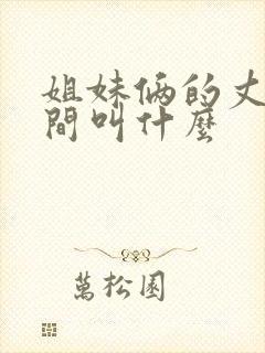 姐妹俩的丈夫之间叫什么