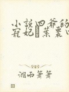 小说四爷的心尖宠妃·叶枣四爷全篇