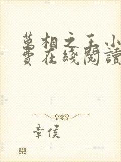 万相之王小说免费在线阅读