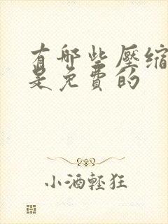 有哪些压缩软件是免费的
