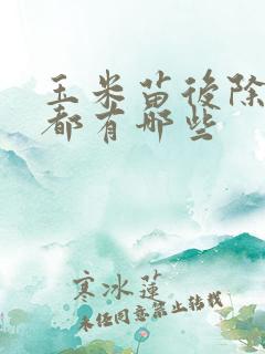 玉米苗后除草剂都有哪些