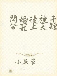闪婚后被千亿老公宠上天短剧免费版