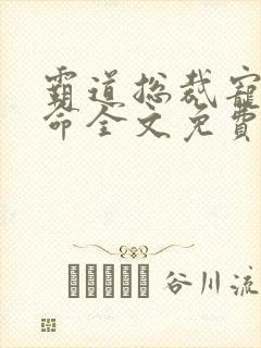 霸道总裁宠妻如命全文免费阅读全文