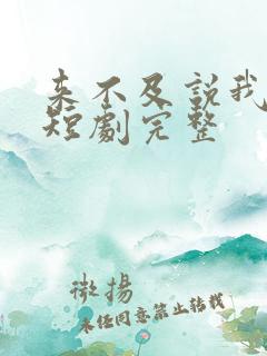 来不及说我爱你短剧完整