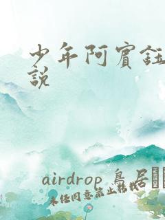 少年阿宾钰慧小说