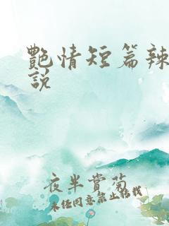 艳情短篇辣文小说