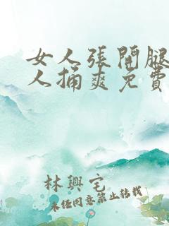 女人张开腿让男人捅爽免费不卡