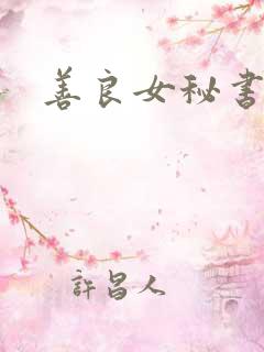 善良女秘书韩国