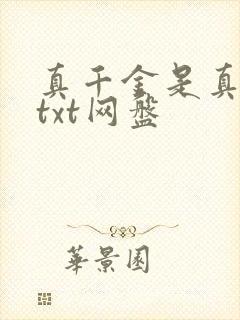 真千金是真大佬txt网盘