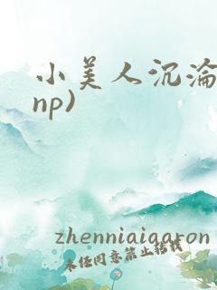 小美人沉沦记(np)