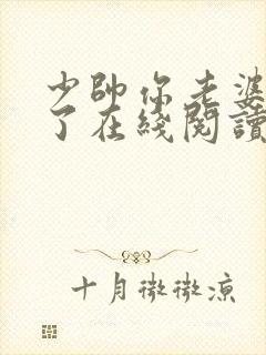 少帅你老婆又跑了在线阅读全文